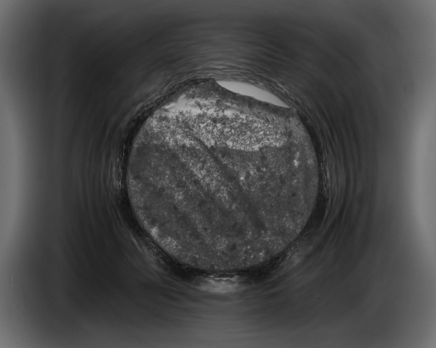 X0000083600606200703021915