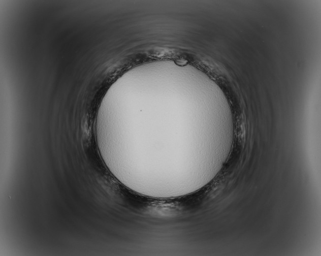 X0000083600607200703021915