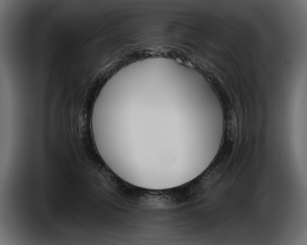 X0000083600608200703021915