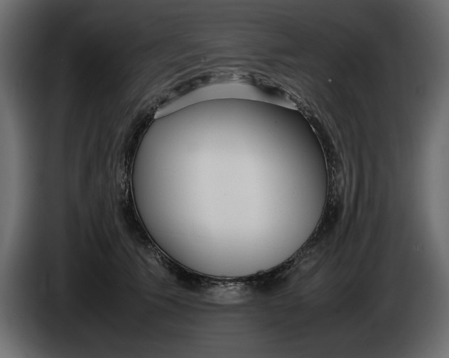 X0000083600609200703021915