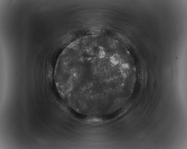 X0000083600610200703021915