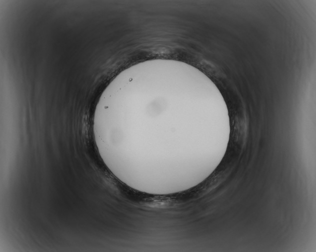 X0000083600612200703021915