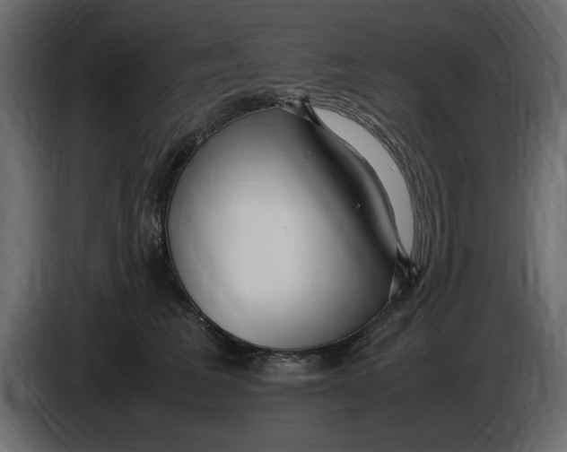 X0000083600613200703021915