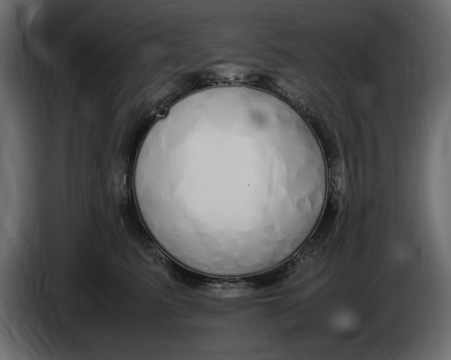 X0000083600615200703021915