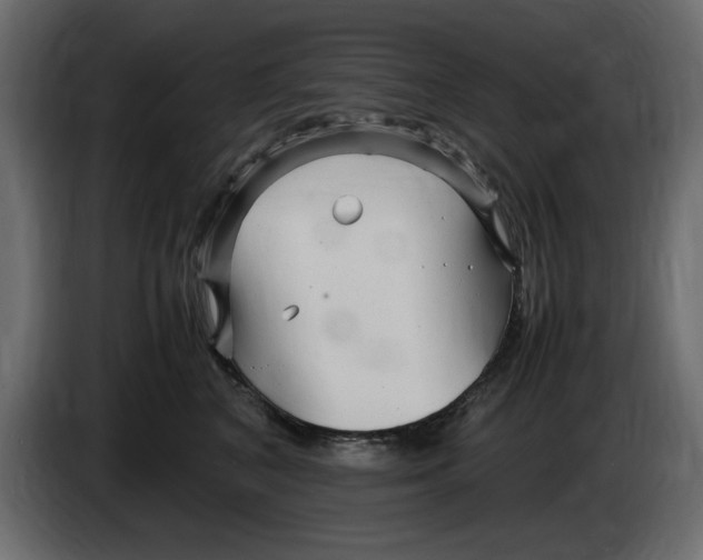 X0000083600616200703021915