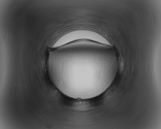 X0000083600619200703021915