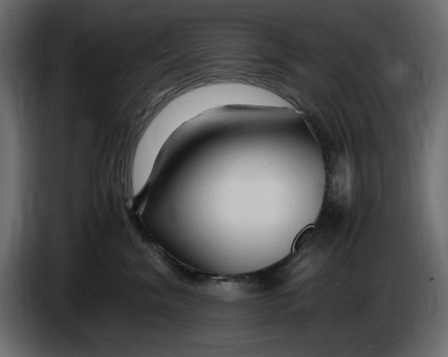 X0000083600620200703021915