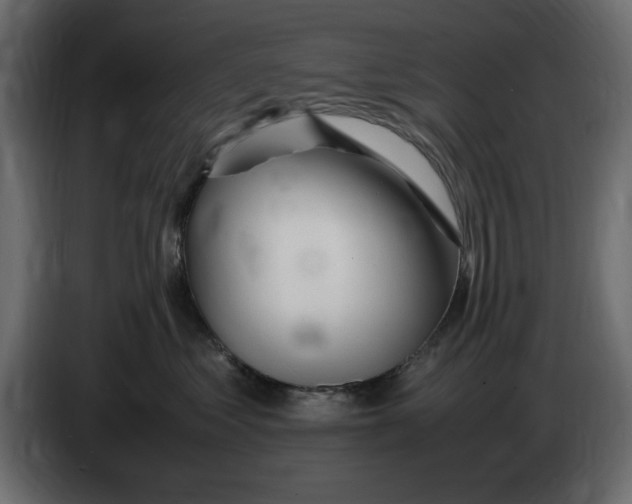 X0000083600621200703021914