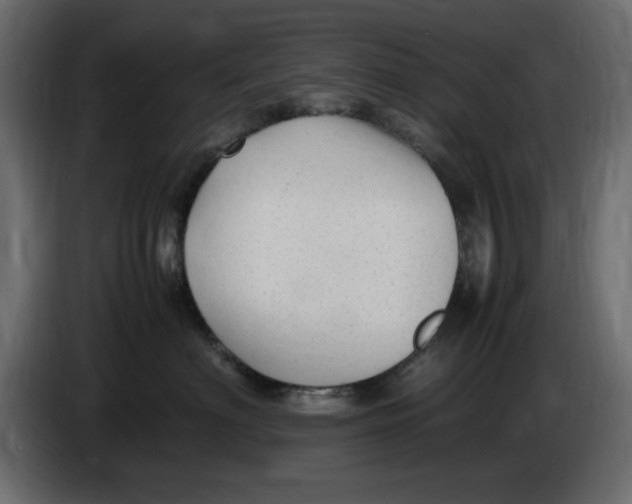 X0000083600622200703021914