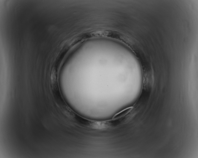 X0000083600623200703021914