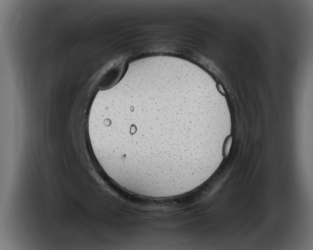 X0000083600625200703021914