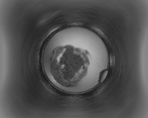 X0000083600627200703021914