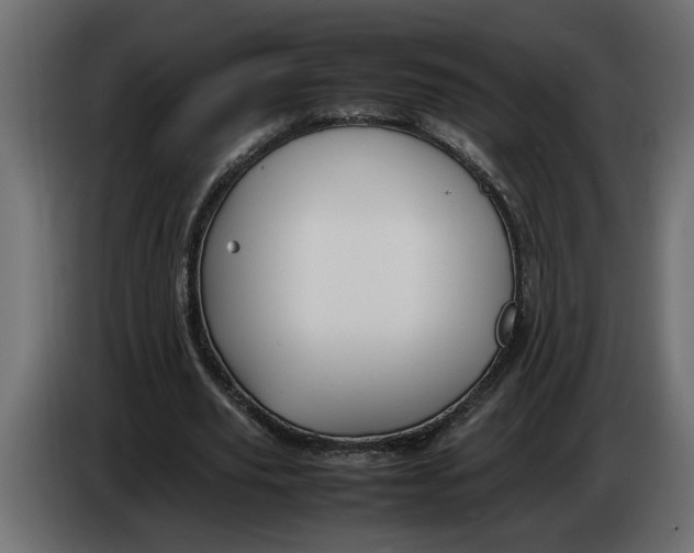 X0000083600629200703021914