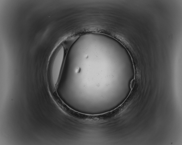 X0000083600630200703021914