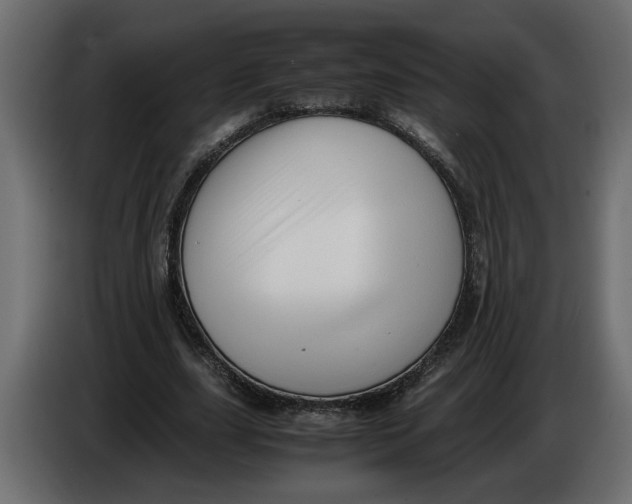 X0000083600631200703021914