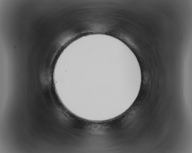 X0000083600632200703021914