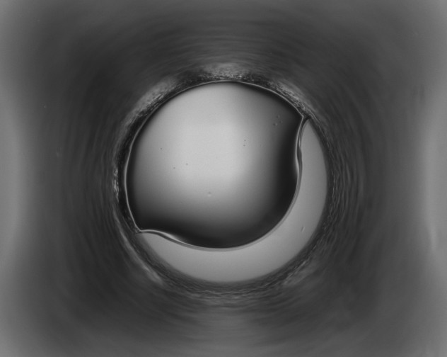 X0000083600634200703021914