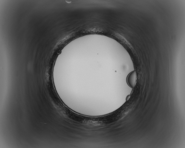 X0000083600635200703021914