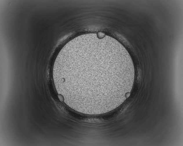 X0000083600636200703021914