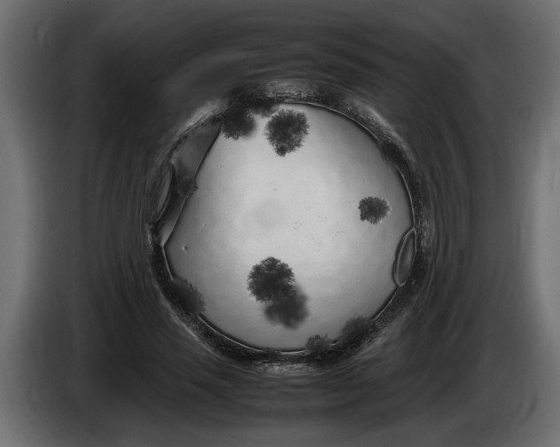 X0000083600637200703021914