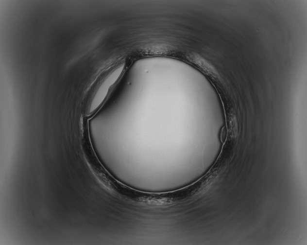 X0000083600638200703021914