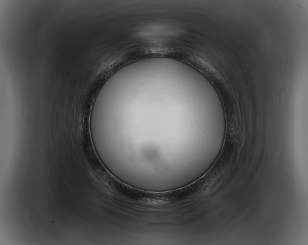 X0000083600639200703021914