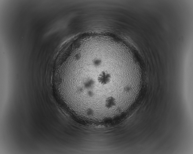 X0000083600640200703021914