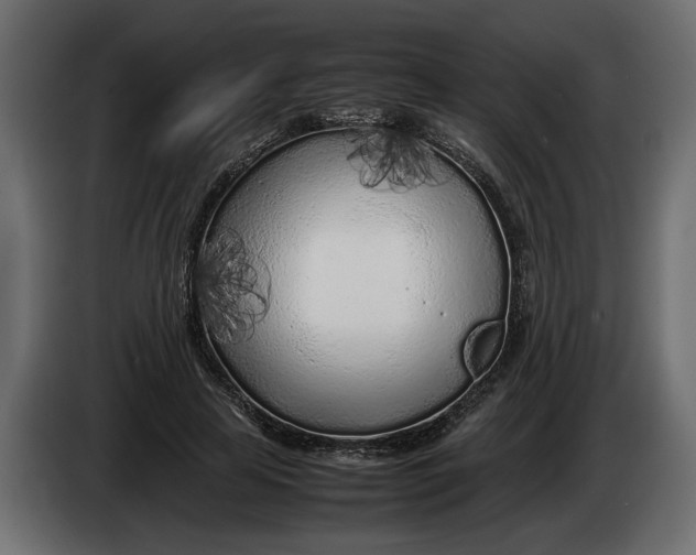 X0000083600641200703021914