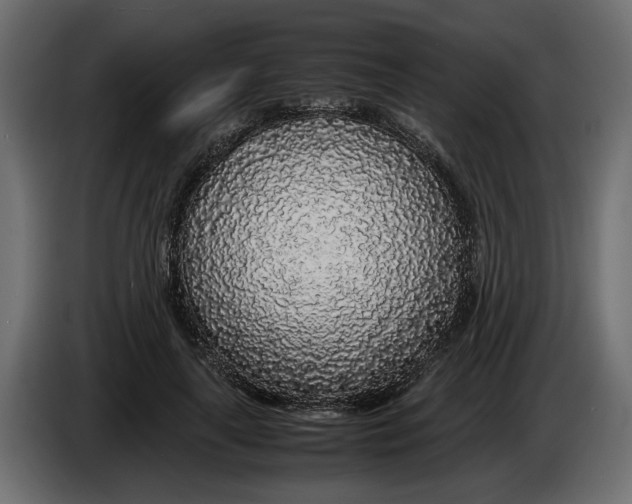 X0000083600643200703021914