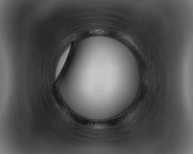 X0000083600645200703021914