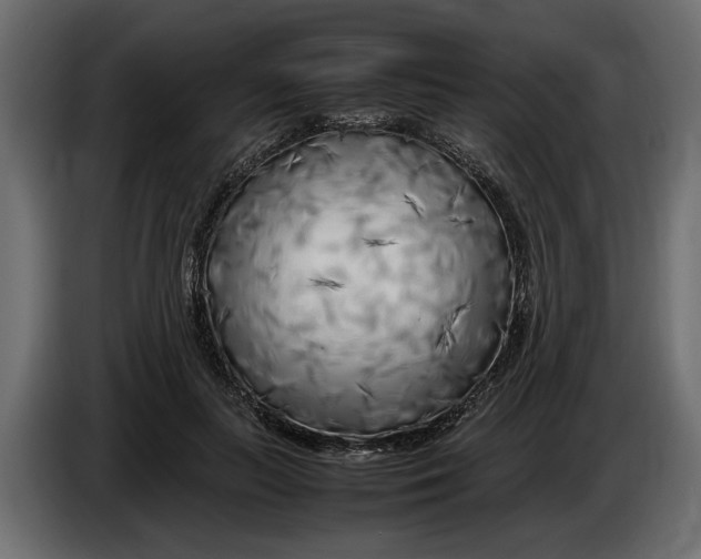 X0000083600647200703021914