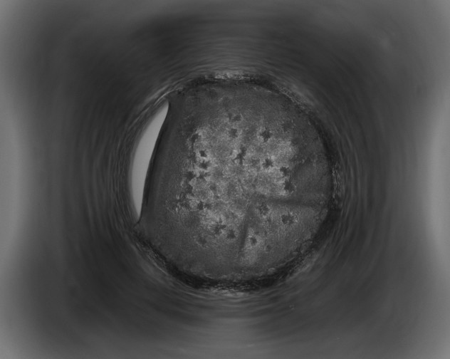 X0000083600648200703021914