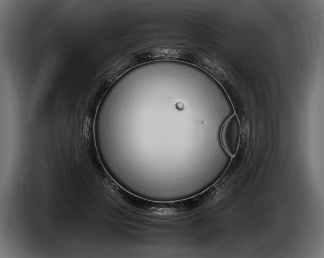 X0000083600649200703021914