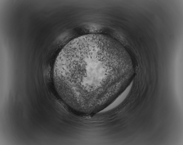 X0000083600650200703021914