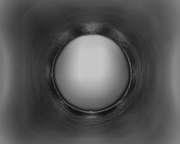 X0000083600651200703021914