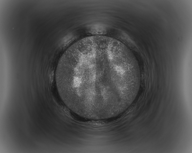 X0000083600652200703021914