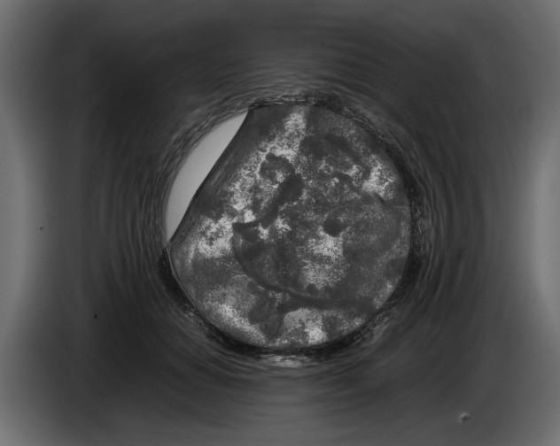 X0000083600654200703021914