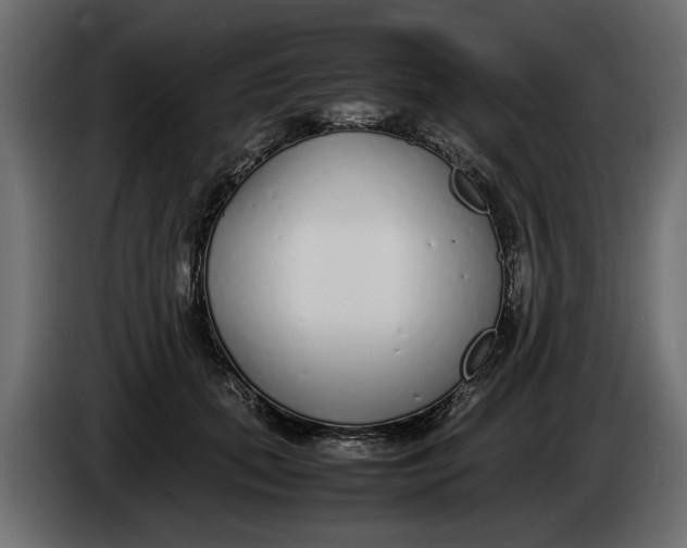 X0000083600655200703021914