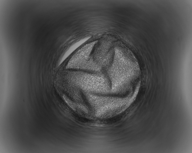 X0000083600656200703021914