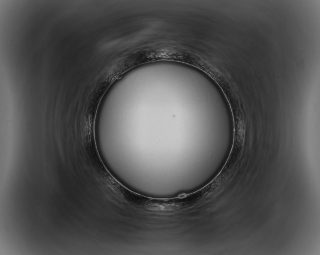 X0000083600657200703021914