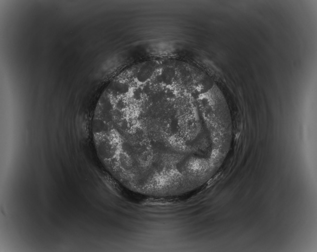 X0000083600658200703021914