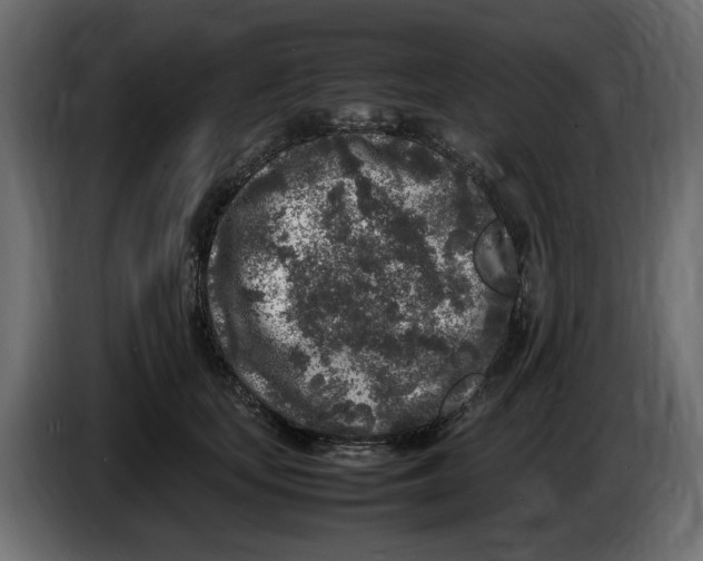 X0000083600659200703021914