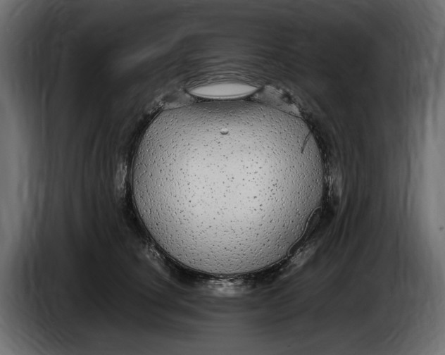 X0000083600660200703021914