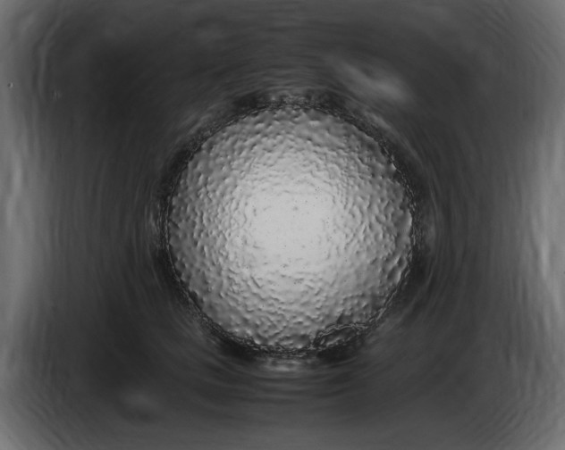 X0000083600661200703021914