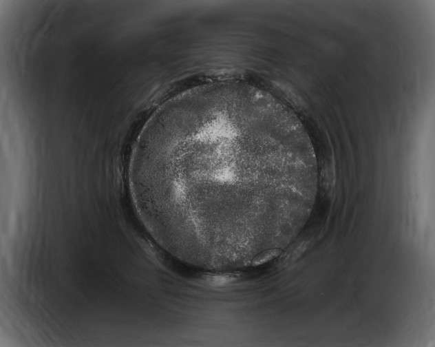 X0000083600662200703021914