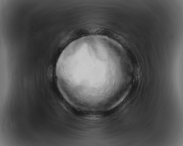 X0000083600664200703021914