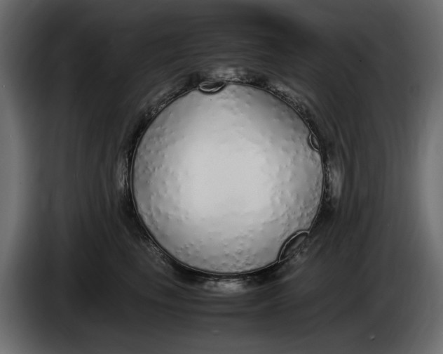 X0000083600665200703021914