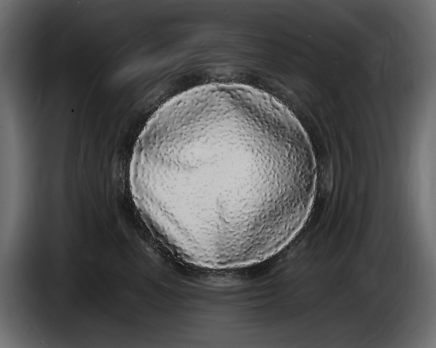 X0000083600666200703021914