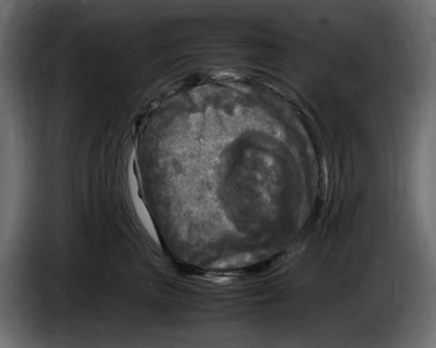 X0000083600667200703021914