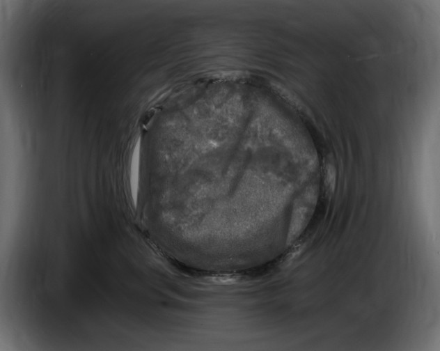 X0000083600668200703021914